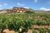 Visita a Bodegas Perfer con Cata de Vinos y Aperitivo para dos (Uleila del Campo, Almería)