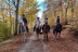 Paseo a Caballo (Zaragoza)