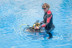 Curso de Buceo con Certificación PADI Open Water Diver (Madrid y Murcia)