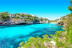 Dolphin Watch: Avistamiento de Delfines con Baño (Mallorca)