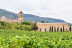 Visita a las Bodegas Irache con Degustación de Vinos y Aperitivo para dos (Navarra) 