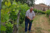 Visita Guiada por Bodega Baronia de Vilademuls y Cata de Vinos para dos (Parets d’Empordà, Girona)