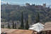 Ruta en Segway (Granada)