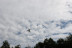 Puenting: 2 Saltos (Arbo, Pontevedra)
