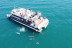 Excursión en Catamarán con Baño y Comida (Valencia)