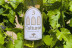 Visita a Bodegas y Viñedos Tavera con Cata de Vino para dos (Arcicóllar, Toledo)