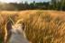 Paseo a Caballo por el Parque Natural de Collserola para dos (Sant Cugat, Barcelona)