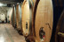 Visita al Celler Josep Foraster, Paseo por los Viñedos, Cata de 4 Vinos y Exposición para dos (Montblanc, Tarragona)
