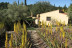 Visita Guiada a Ecoherbes: Jardí Botanic (L'Ampolla, Tarragona)