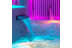 Masaje Thai Pareja: Circuito Spa y Masaje Tailandés para dos en Benicaldea Thai Massage & Spa (Benidorm, Alicante)