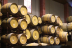 Visita a Bodegas Bocopa con Cata de Vinos y Tapa para dos (Alicante)