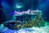 Entrada a Sea Life Benalmádena (Málaga)