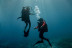 Curso de Buceo con Certificación PADI Open Water Diver (Madrid y Murcia)