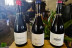 Visita al Celler Josep Foraster, Paseo por los Viñedos, Cata de 4 Vinos y Exposición para dos (Montblanc, Tarragona)