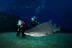 Buceo con Tiburones (Mallorca)