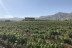 Visita a Bodegas Perfer con Cata de Vinos y Comida para dos (Uleila del Campo, Almería)