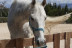 Ruta a Caballo para dos (Alicante)