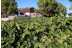 Visita a la Bodega Vegalfaro y Cata de Vinos para dos (Requena, Valencia) 