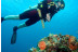 Curso de Buceo Open Water Diver (Tenerife)