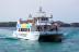 Paradise: Paseo en Catamarán con Baño por Puerto Andratx (Mallorca)