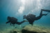 Bautismo de Buceo en el Mar para dos (Tossa de Mar, Girona)