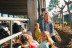 Experiència #Aprop: Visita a Llet Nostra con Degustación de Leche (Monells, Girona)