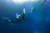 Buceo con Tiburones (Mallorca)