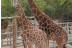 OFERTA: Entrada a Terra Natura (Murcia)