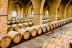Visita a las Bodegas Irache con Degustación de Vinos y Aperitivo para dos (Navarra) 