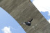 Puenting (Zaragoza)
