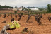 Visita a Bodega Raíces Ibéricas y Cata de Vinos para dos en Finca Calderón (Requena, Valencia)
