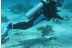 Bautismo de Buceo Privado en el Mar y Reportaje Fotográfico (Tenerife)