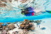Snorkel en la Reserva Marina de Menorca (Fornells, Menorca)