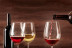 Visita a las Bodegas Irache con Degustación de Vinos y Aperitivo para dos (Navarra) 