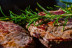 Comida o Cena Gourmet para dos en el Restaurante Abrasador (28 localizaciones)