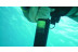 Bautismo de Buceo, Cavas Submarinas y Botella de Vino (Girona)