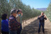 Visita Guiada a OleoAlmanzora con Masterclass de Cata Sensorial y Degustación de AOVE para dos (Pulpí, Almería)