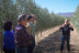 Visita Guiada a OleoAlmanzora con Desayuno o Merienda a base de AOVE para dos (Pulpí, Almería)