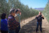 Visita Guiada a OleoAlmanzora con Degustación de AOVE y Entrada a la Geoda Gigante de Pilar de Jaravia y Castillo S.J. de los Terreros para dos (Pulpí, Almería)