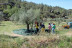 Visita Guiada, Cata de Aceites y Aperitivo Entre Olivos (Cervià de les Garrigues, Lleida)