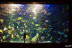 Entrada al Acuario de San Sebastián: Aquarium Donostia-San Sebastián (Guipúzcoa)