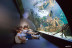 Entrada al Acuario de San Sebastián: Aquarium Donostia-San Sebastián (Guipúzcoa)