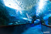 Entrada al Acuario de San Sebastián: Aquarium Donostia-San Sebastián (Guipúzcoa)