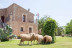 Day Pass con Hamaca en Agroturismo Es Quatre Cantons 4* (Binissalem, Mallorca)