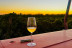 Cata de Burbujas Galanteria: Cata y Maridaje en Albariza de la Torre (Jerez de la Frontera, Cádiz)