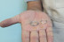 Taller de Joyería Fuego Eterno para dos: Cread Vuestras Alianzas (Barcelona)
