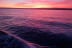 Paseo al Atardecer, Alojamiento en Barco y Cena para dos (Estepona, Málaga)
