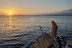 Paseo al Atardecer, Alojamiento en Barco y Cena para dos (Estepona, Málaga)