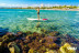 Alquiler de Paddle Surf en 5 localizaciones (Tarragona)