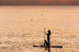 Alquiler de Paddle Surf (Barcelona)